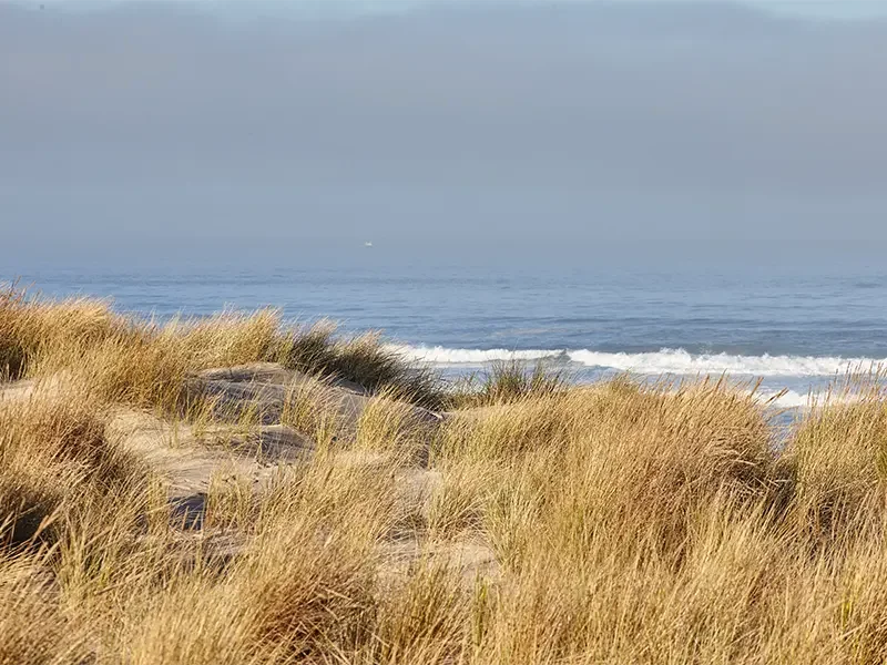 Oosterschelde en stranden
